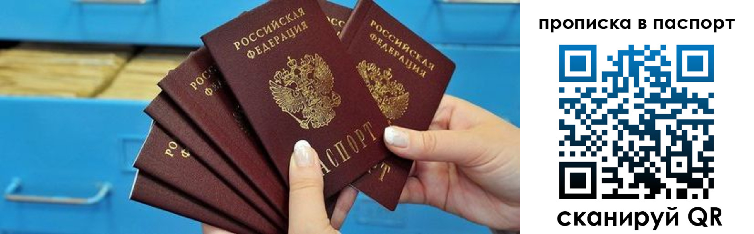 прописка в Кондрово
