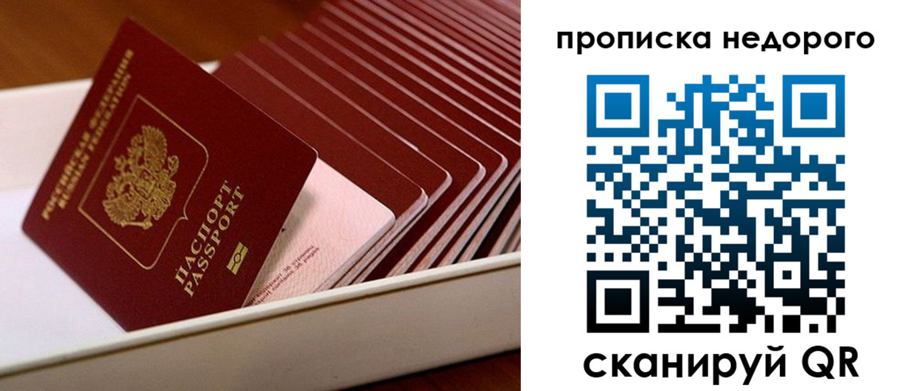 прописка паспорт в Кондрово